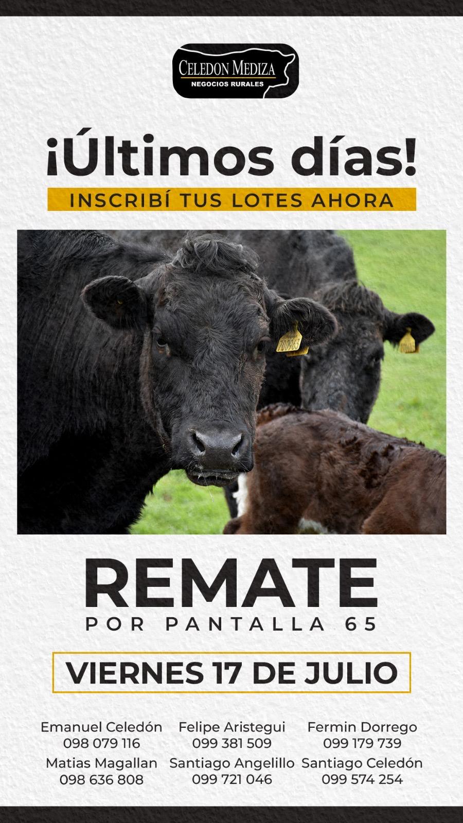 65º Remate por Pantalla