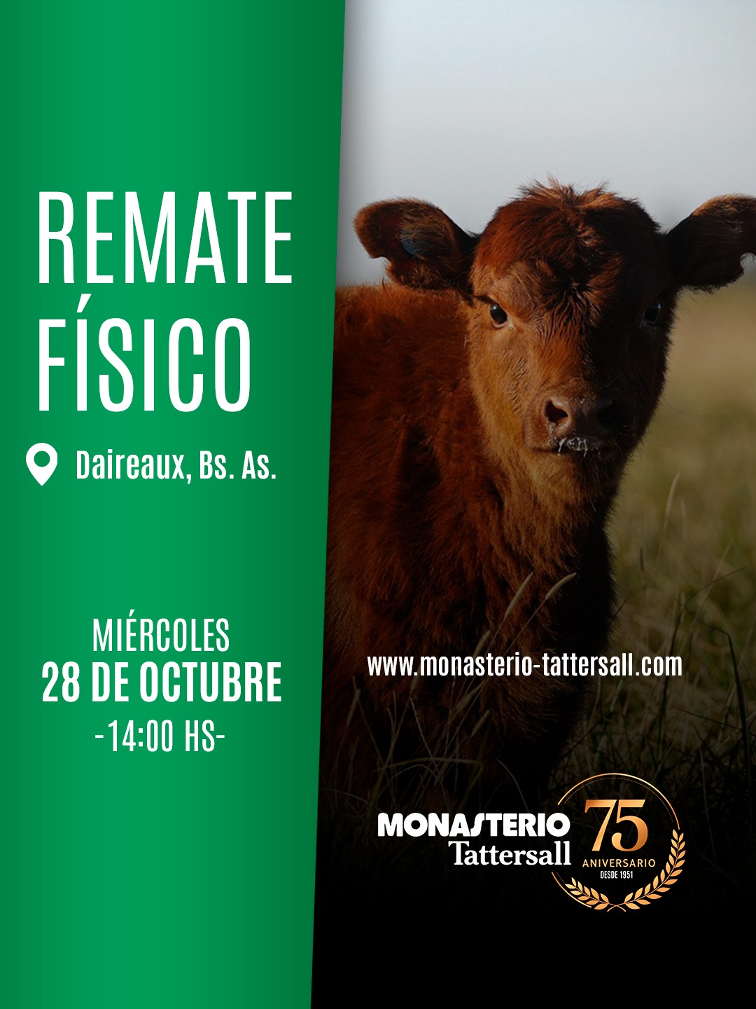 Afiche Físico Daireaux