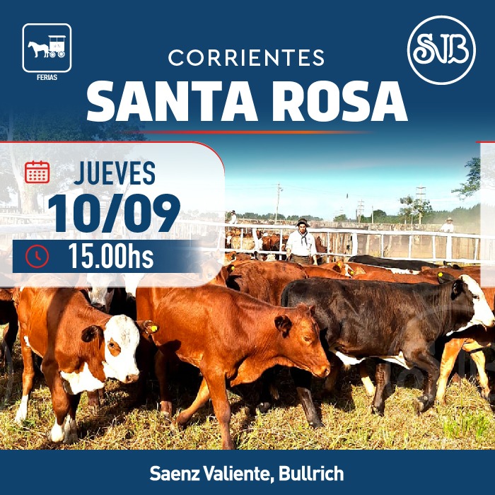 Afiche Feria en Santa Rosa