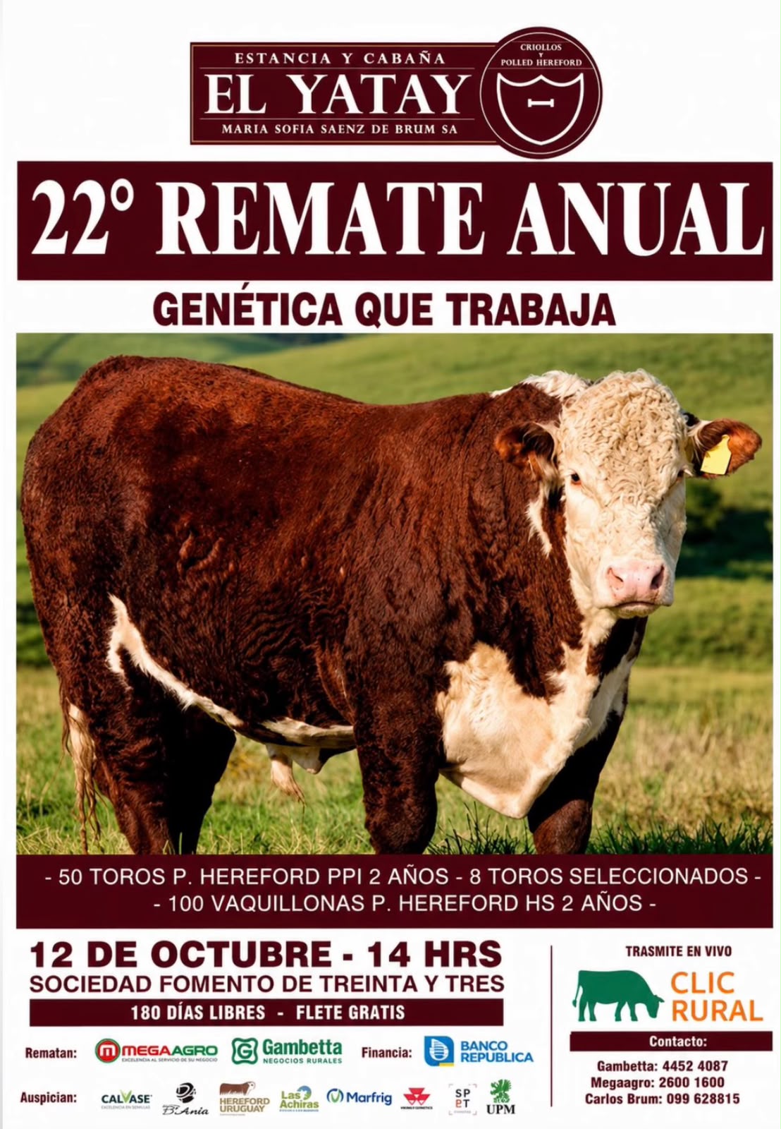 Remate 22º El Yatay