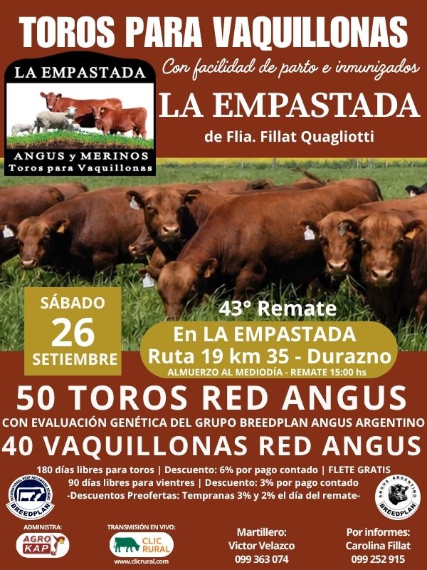 Afiche Toros Para Vaquillonas
