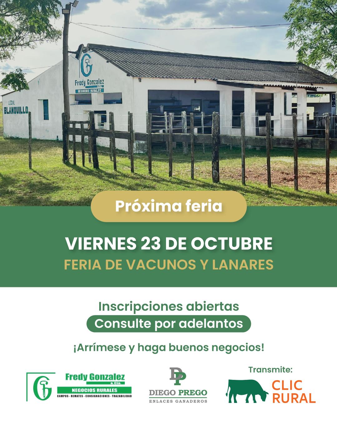 Afiche Feria mensual - Fredy Gonzalez