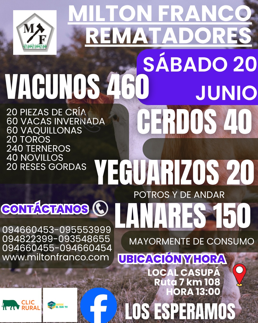 Remate Feria Mensual - Milton Franco