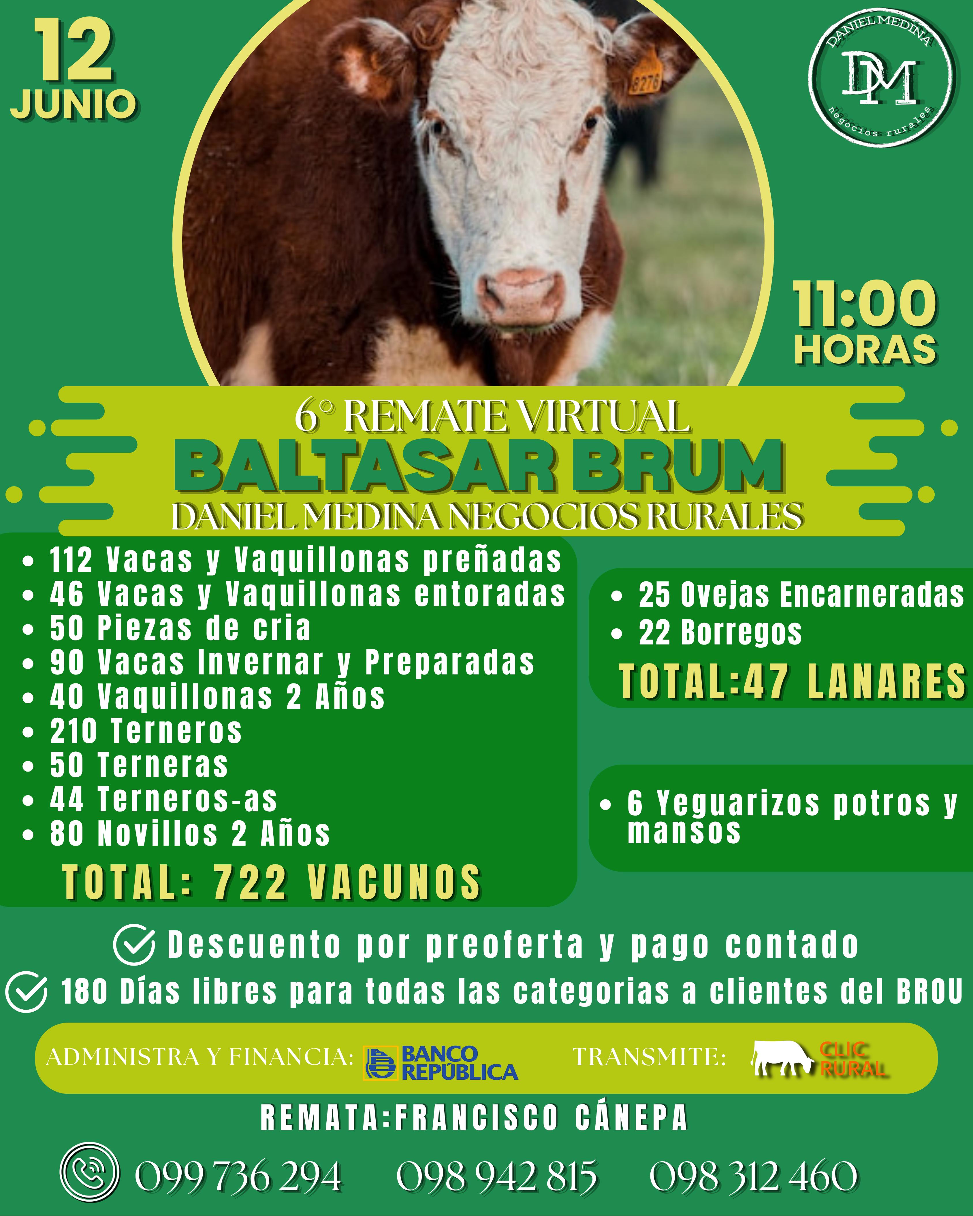 Remate 6to remate Virtual Baltasar
