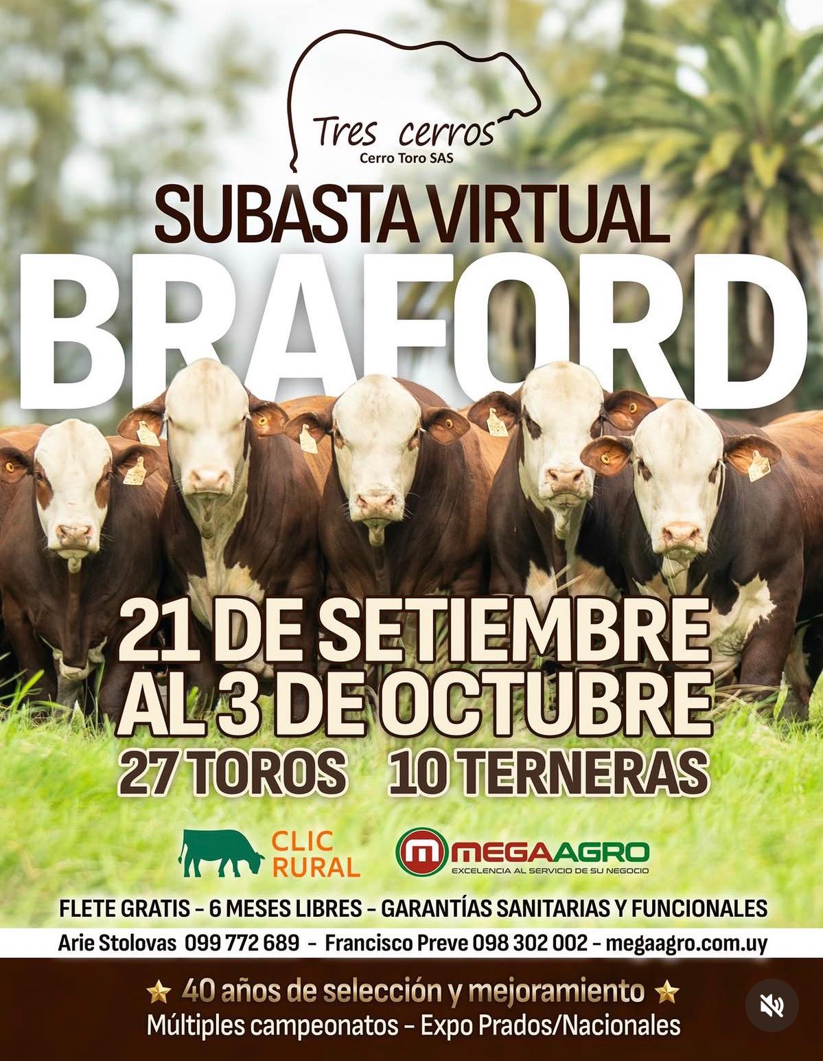 Afiche Subasta Virtual Braford - Tres Cerros