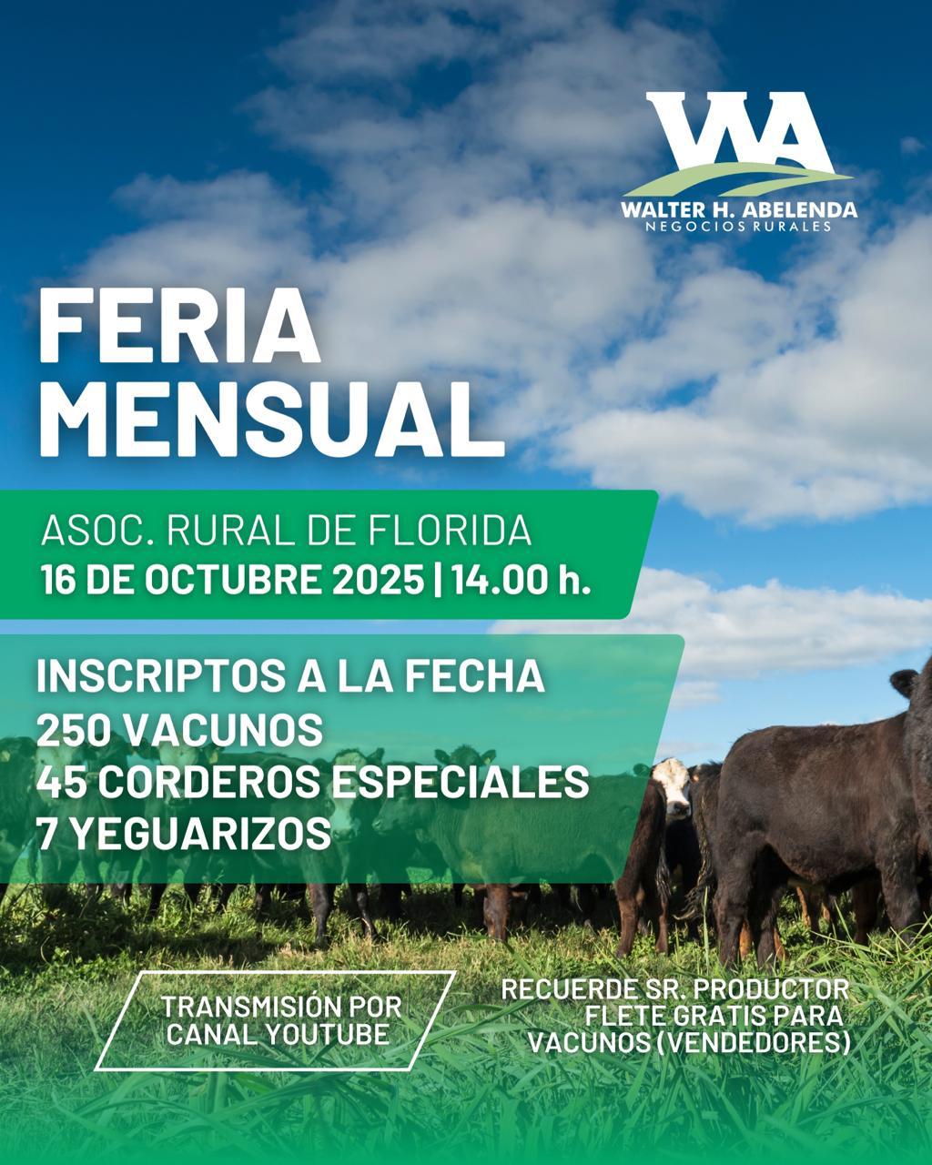 Feria Mensual