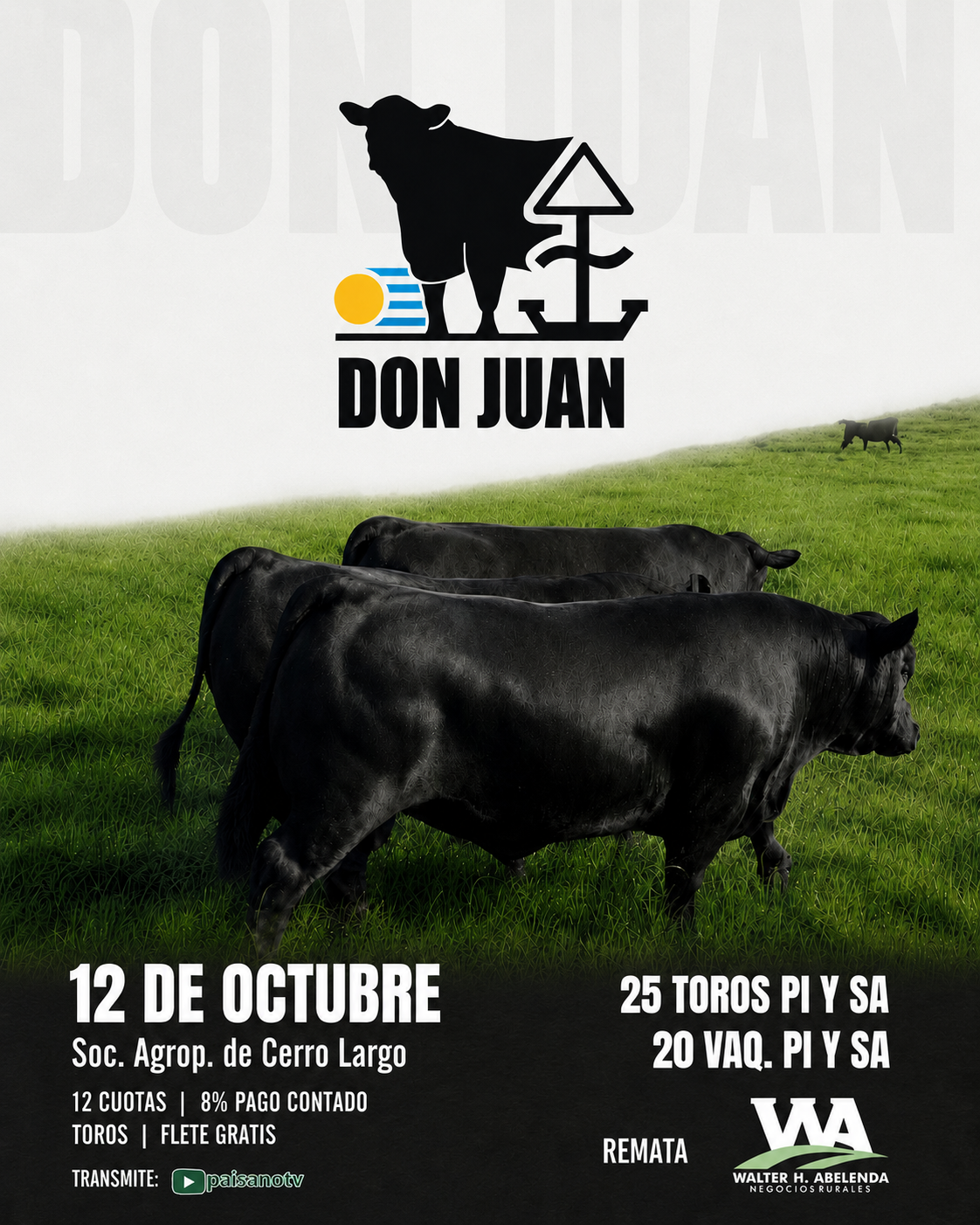 Cabaña Don Juan