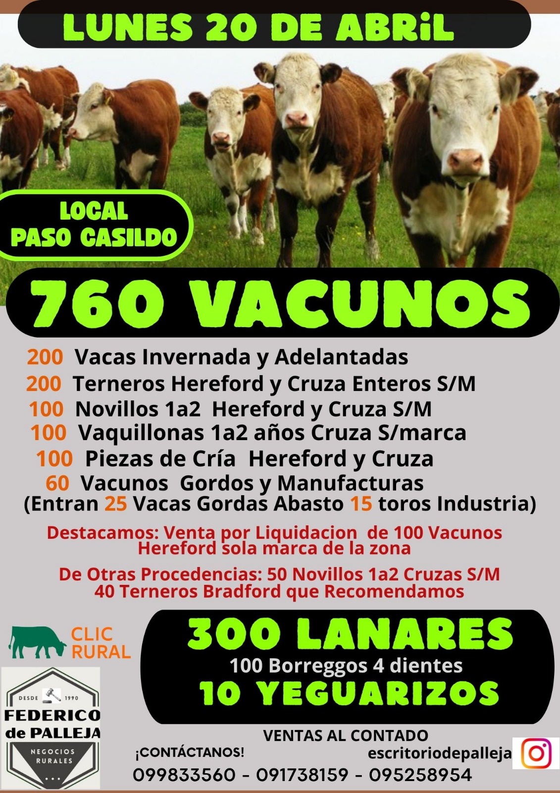 Remate Feria mensual - Federico de Palleja