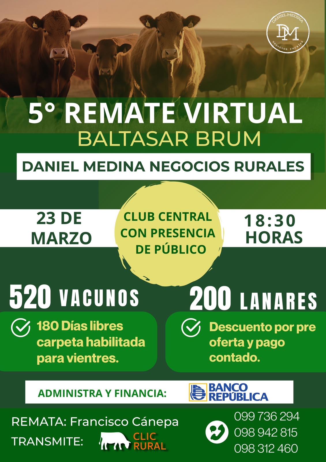 Remate 5º Remate Virtual