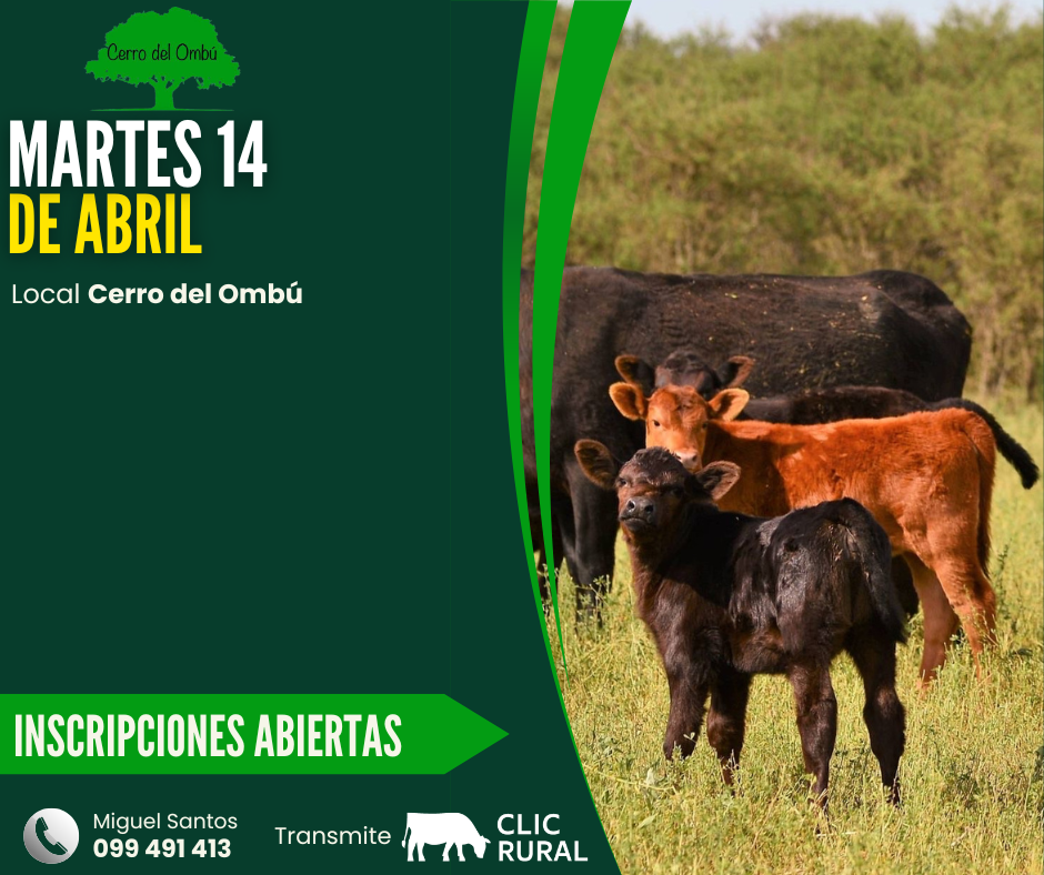 Remate Feria Mensual - Cerro del Ombu