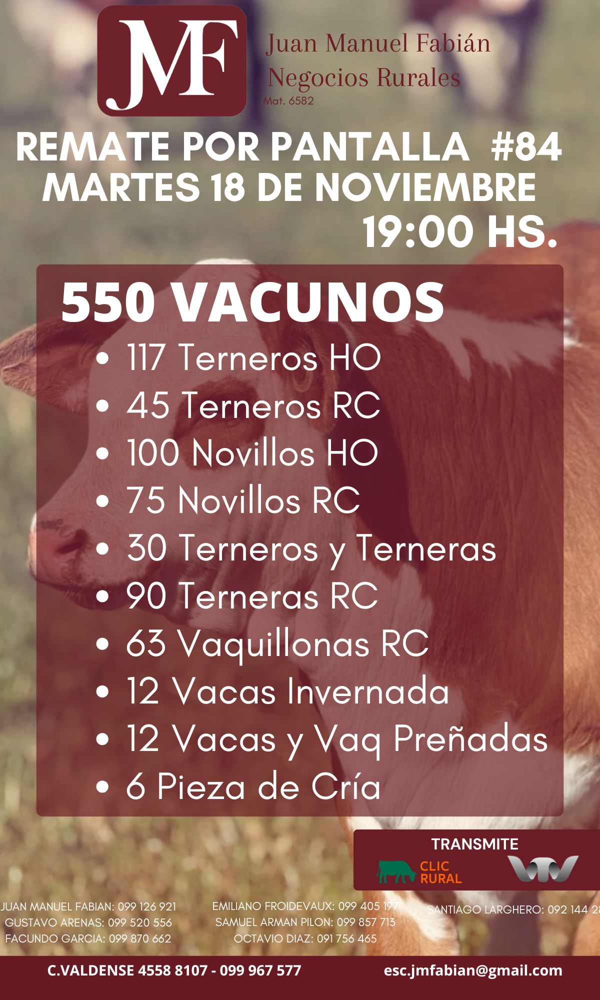 Remate #84 Pantalla JMF