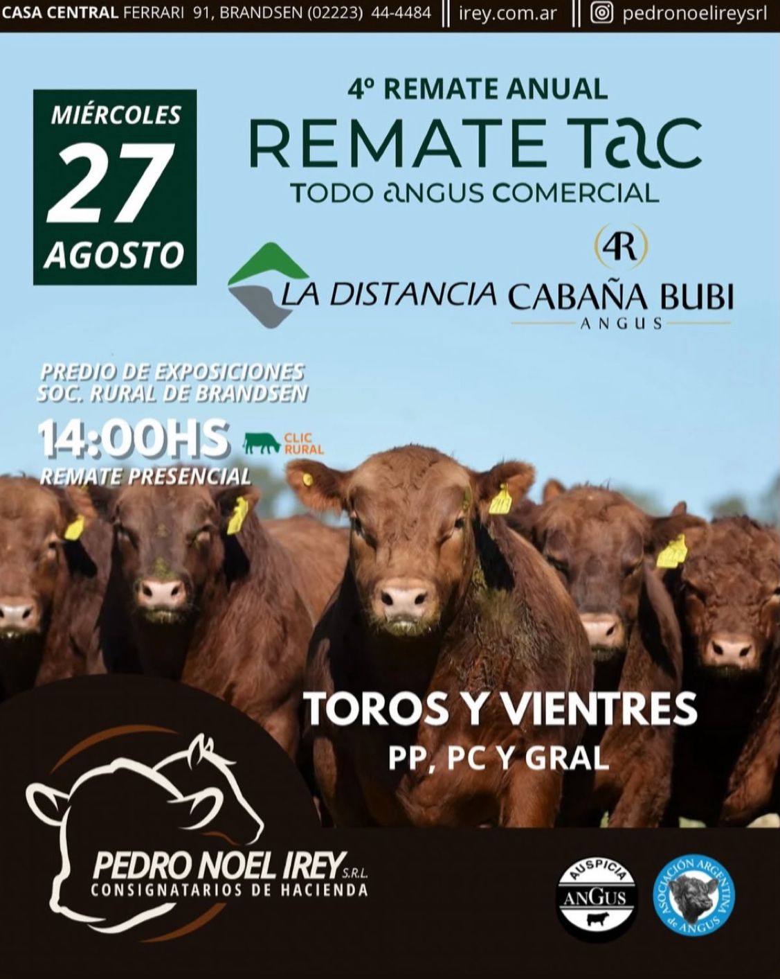 Afiche Remate TAC