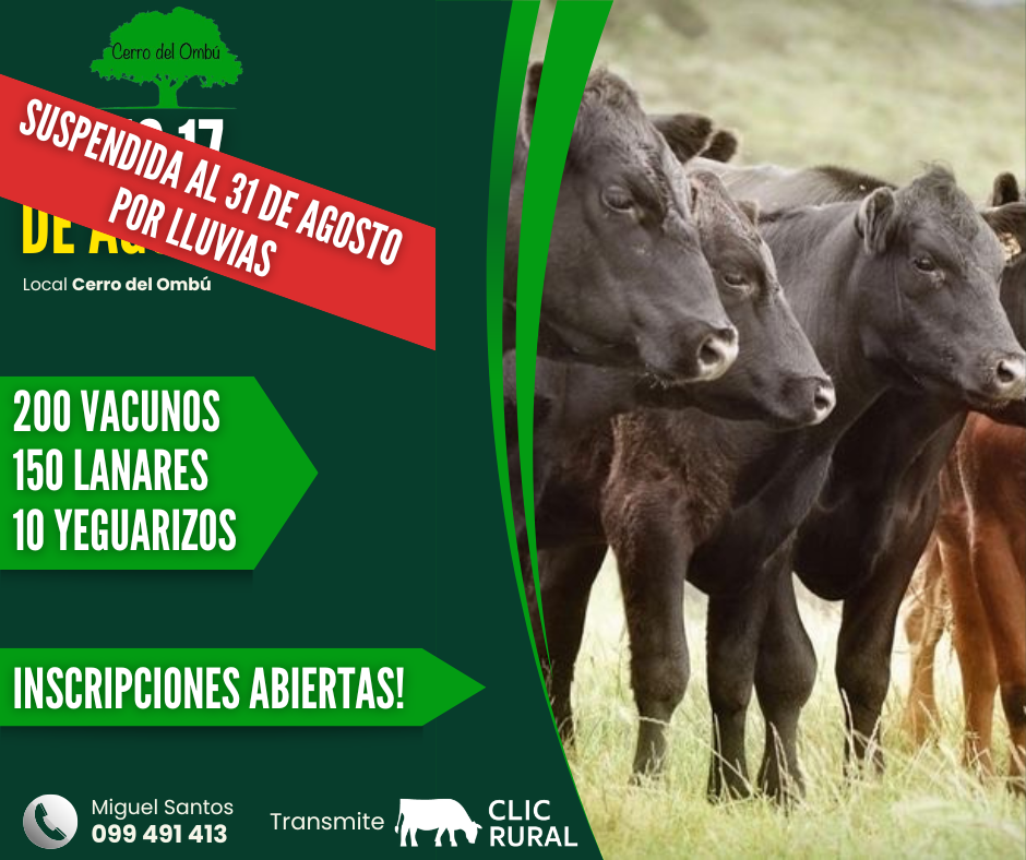 Remate Feria mensual - Cerro del Ombu