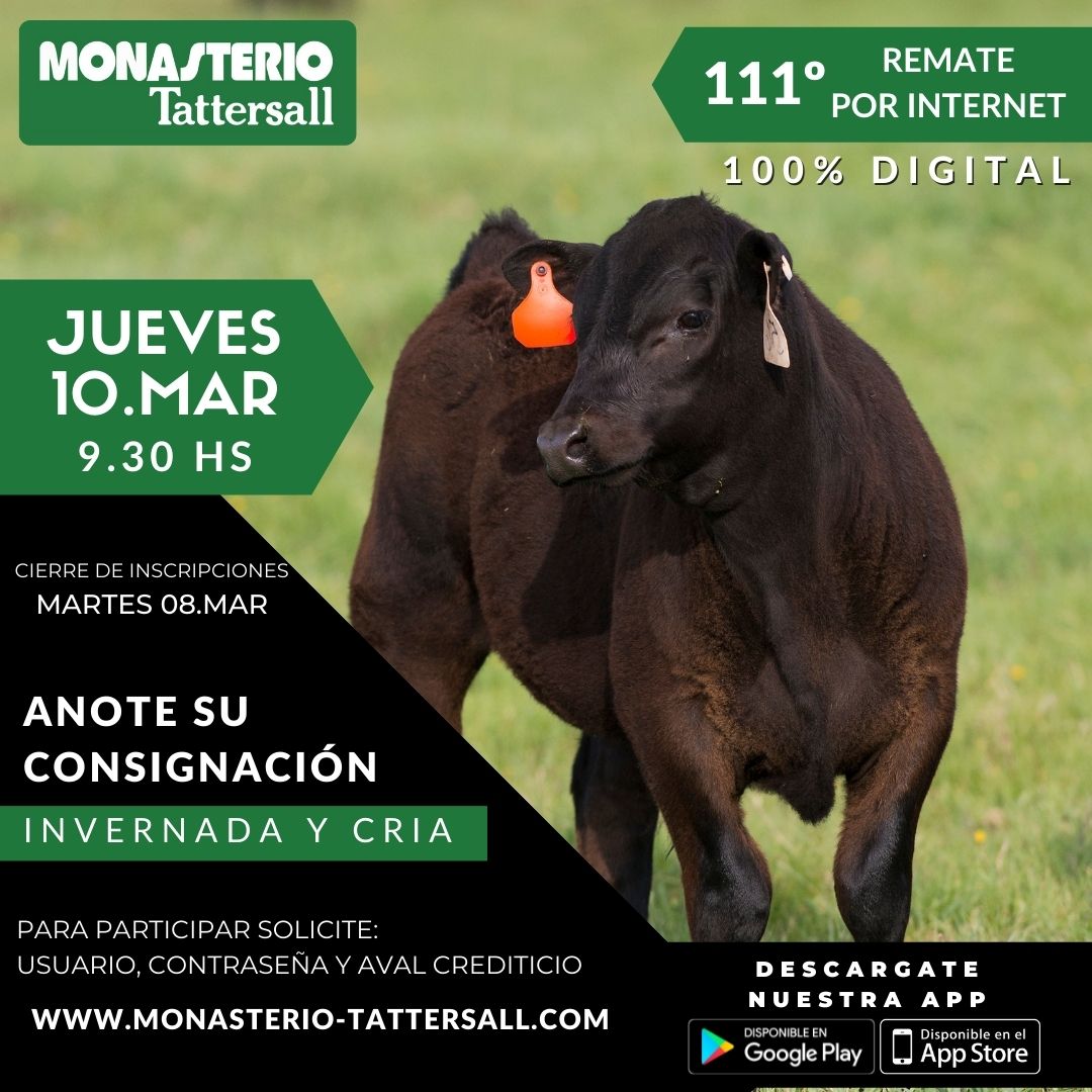 Afiche 111° Remate por Internet