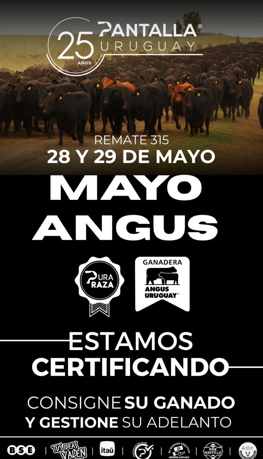 315º remate Pantalla Uruguay