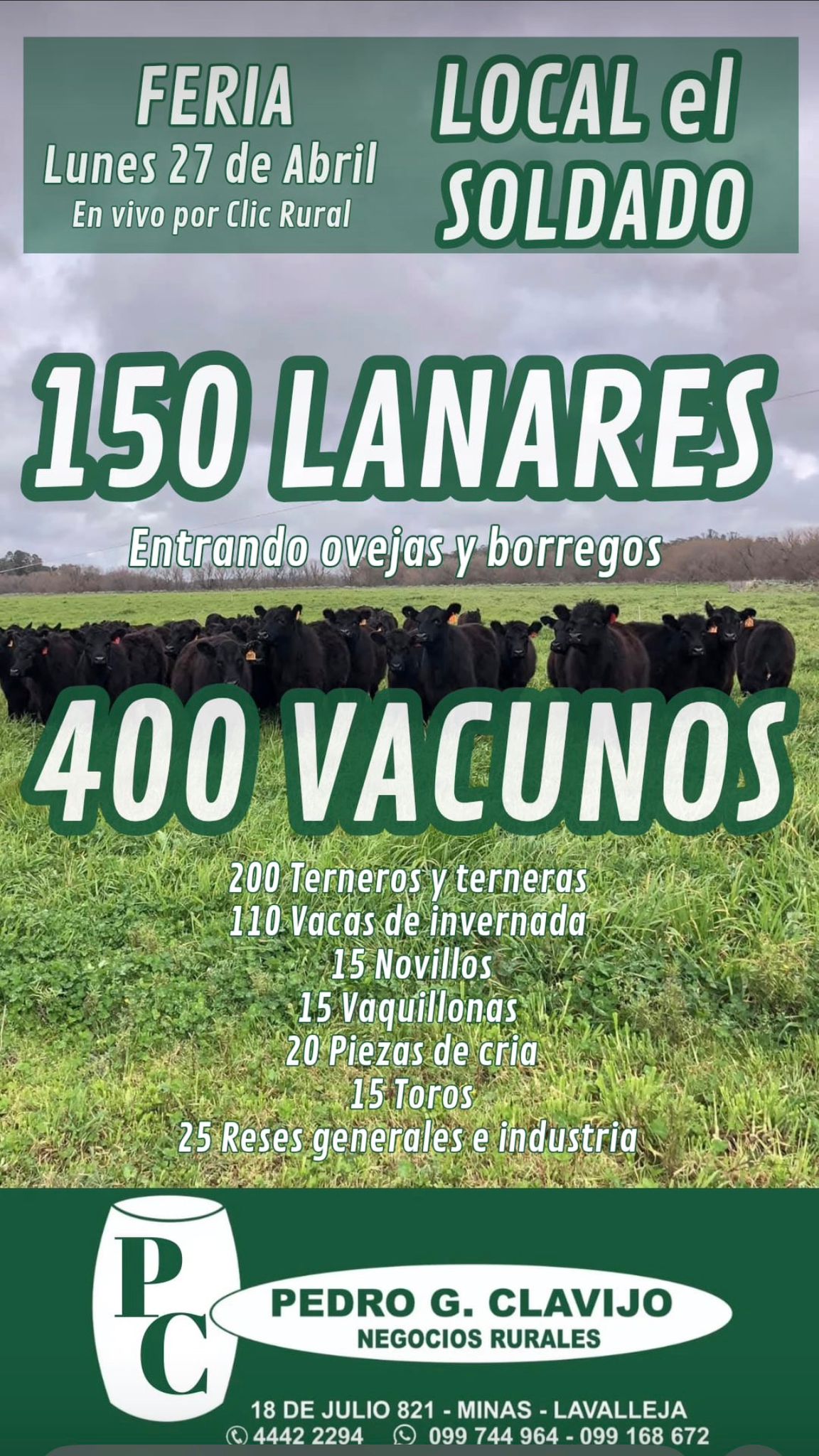 Feria Mensual - Pedro G Clavijo