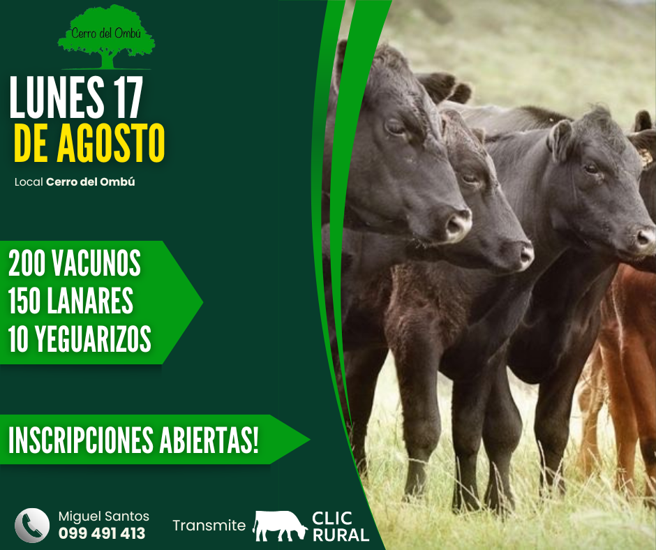 Afiche Feria mensual - Cerro del Ombu