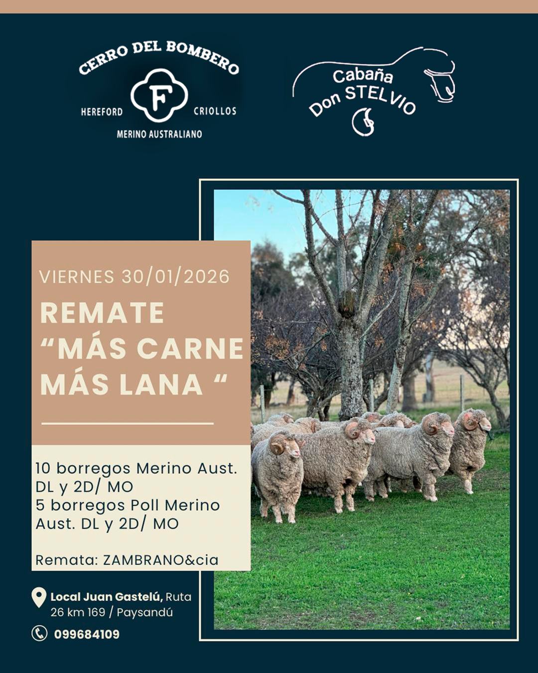 Remate CERRO DEL BOMBERO