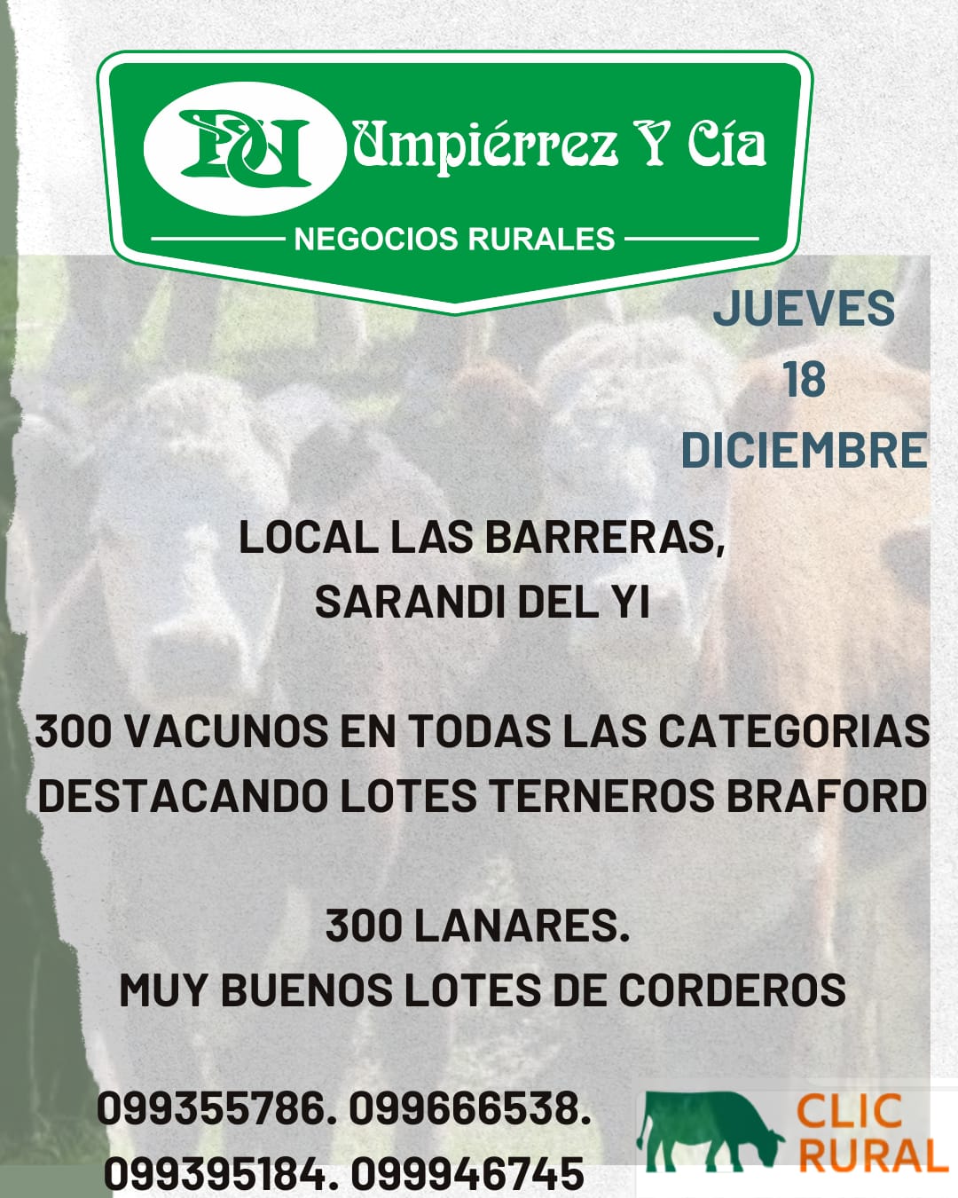 Afiche Feria mensual - Umpierrez y Cia