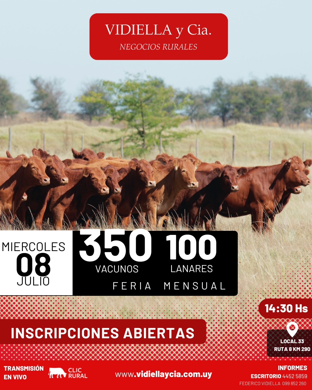 Remate Feria Mensual - Vidiella y Cia