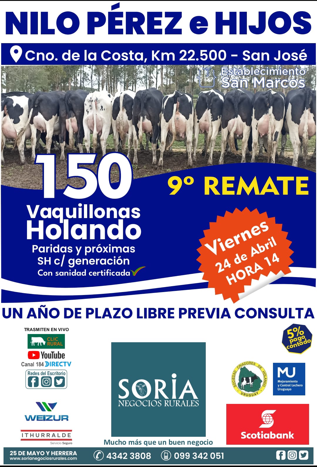 Afiche 9º Remate Nilo Perez e Hijos