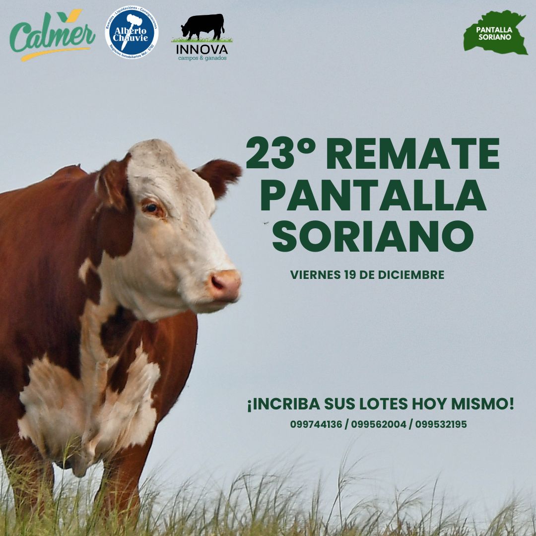 Remate 23º Pantalla Soriano