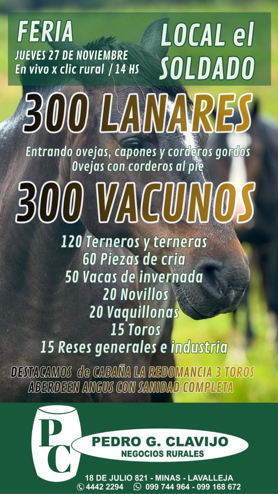 Remate 27 de Noviembre - Local El Soldado