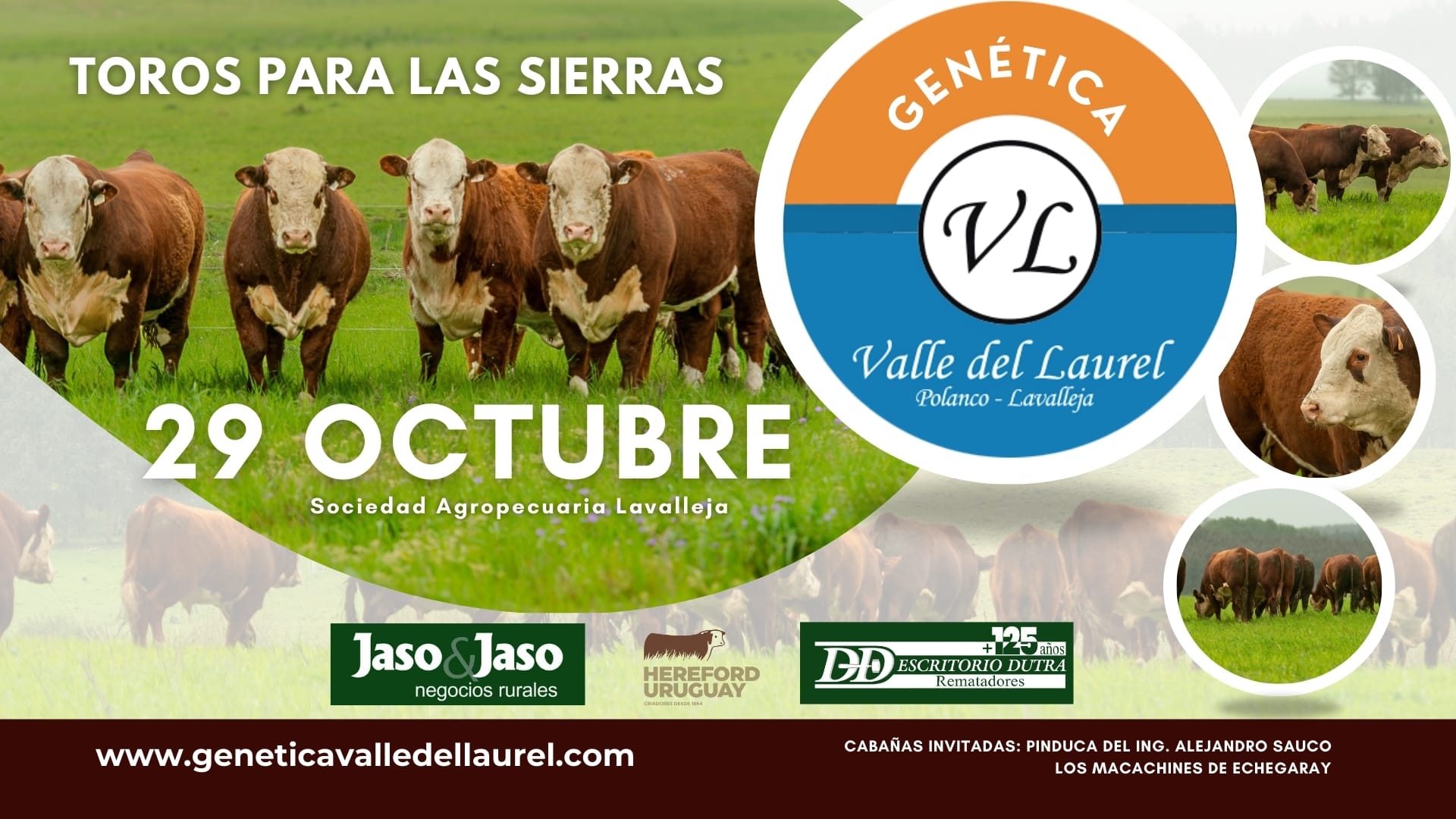 Remate Toros para las Sierras