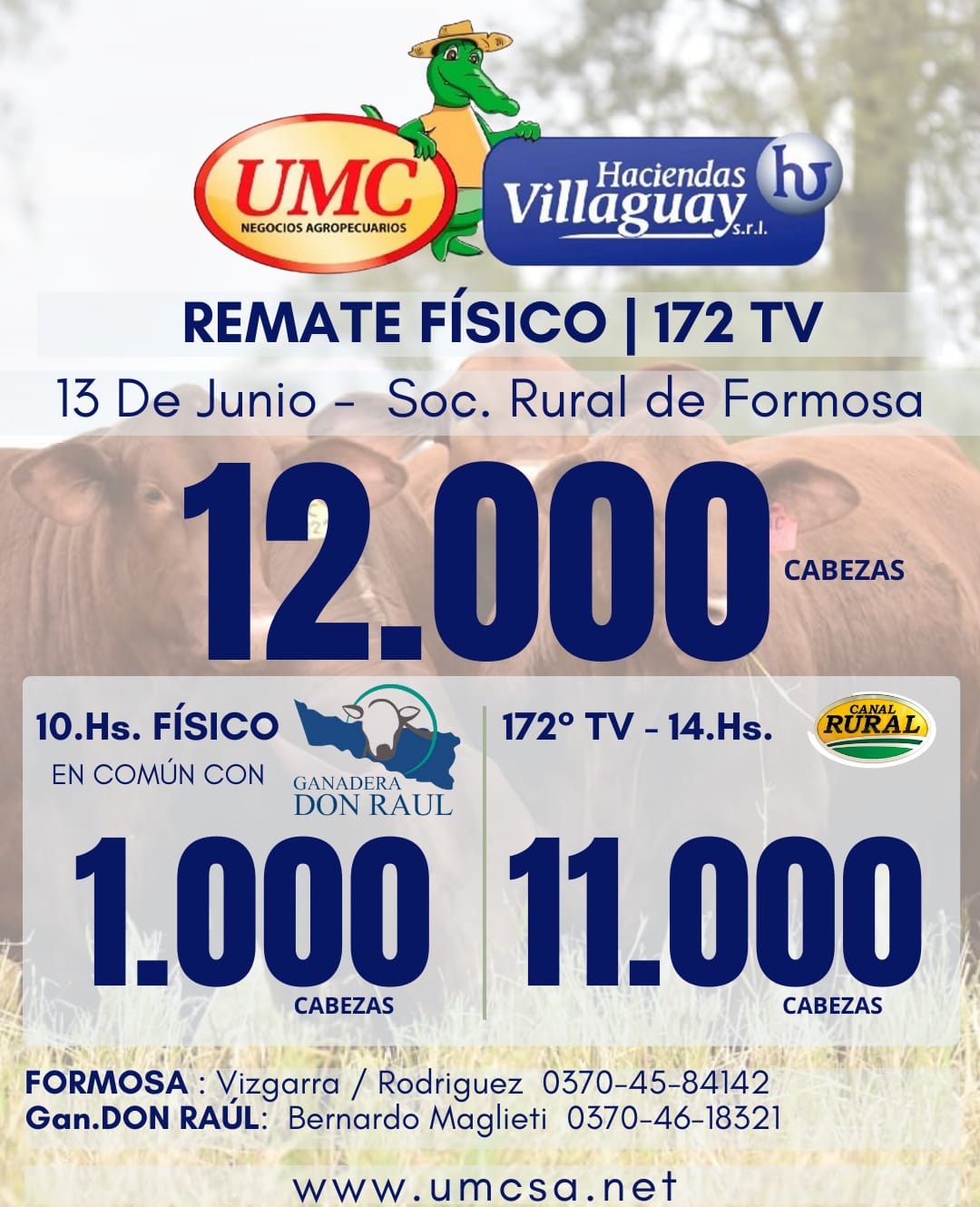 Afiche TV - 172