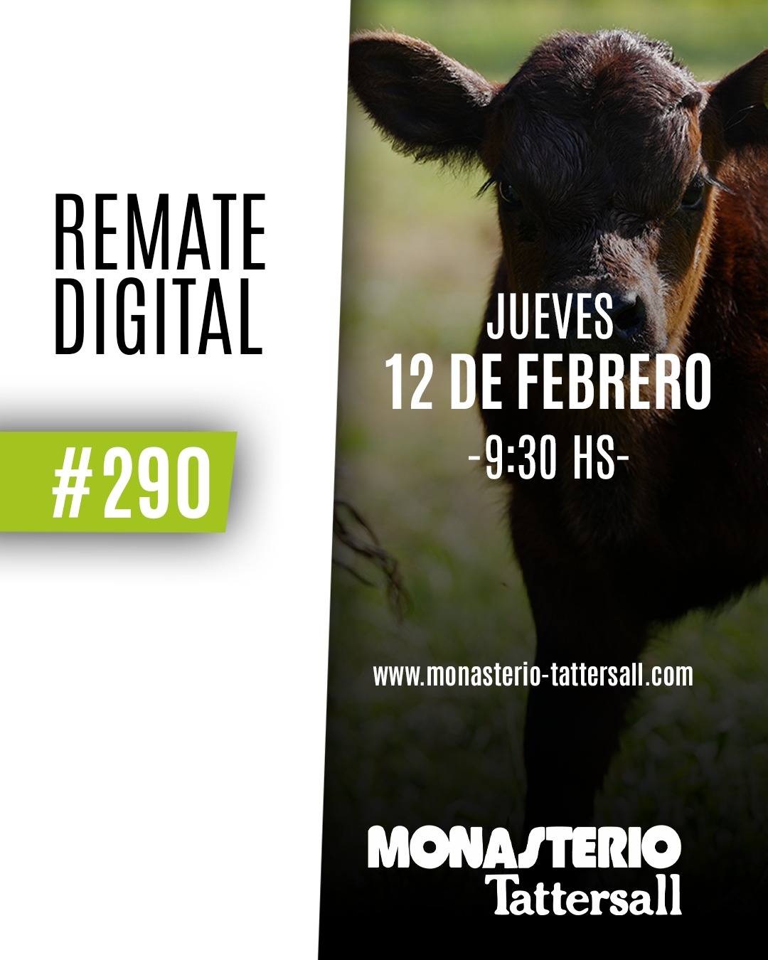 Remate Remate digital 290°