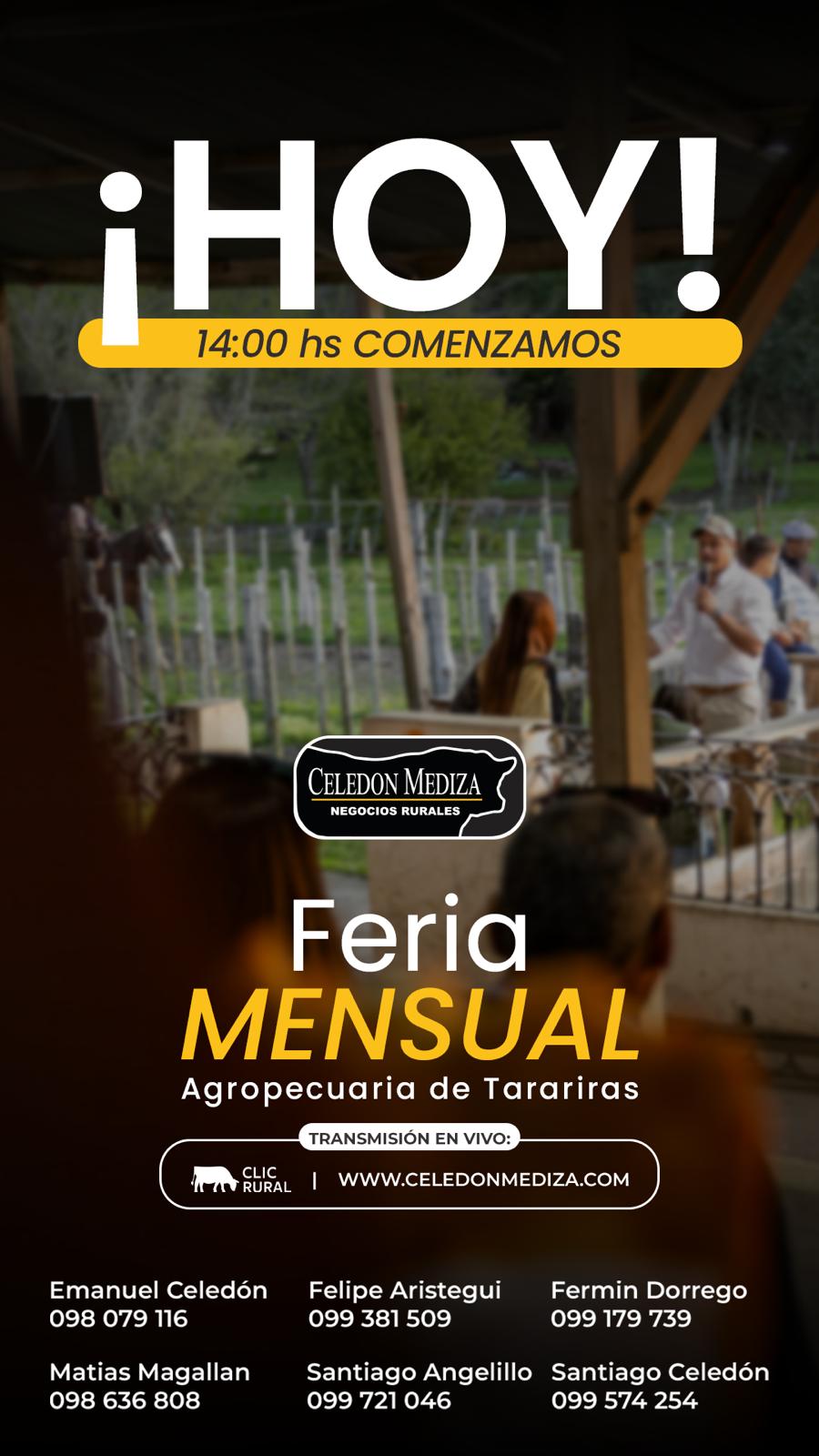 Feria Mensual - Celedon Mediza