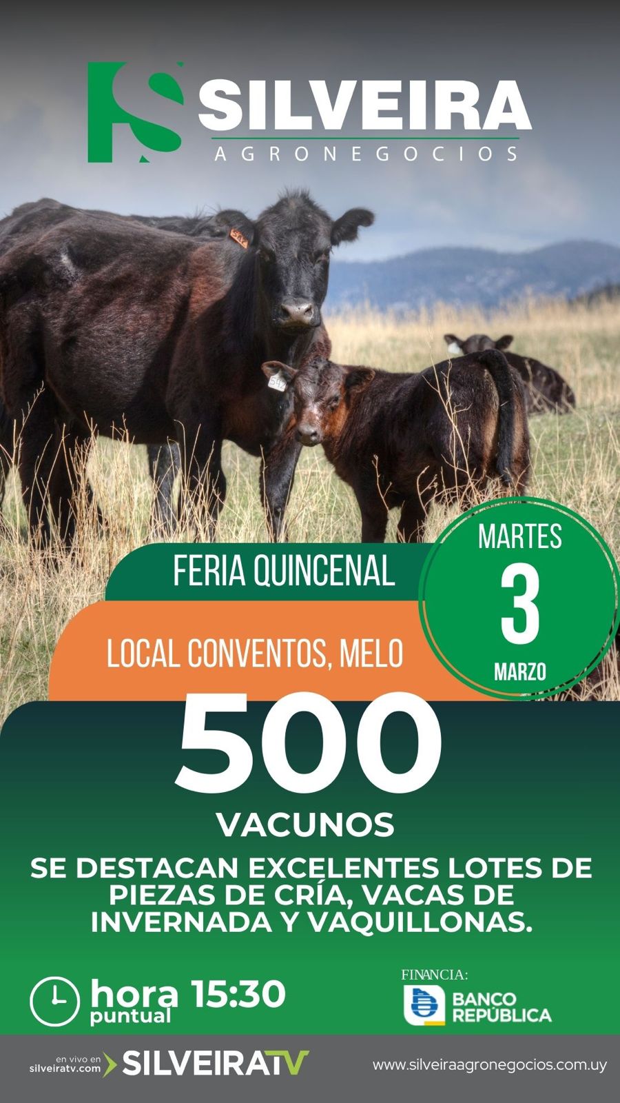 Feria Quincenal - Silveira Agronegocios