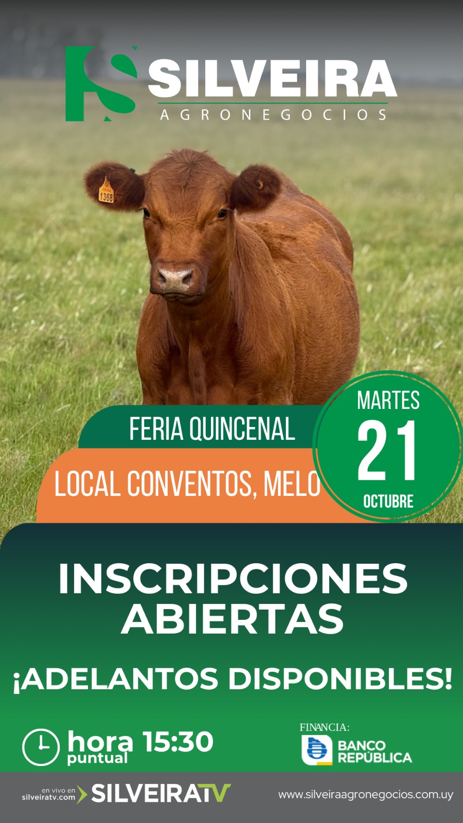 Feria Quincenal