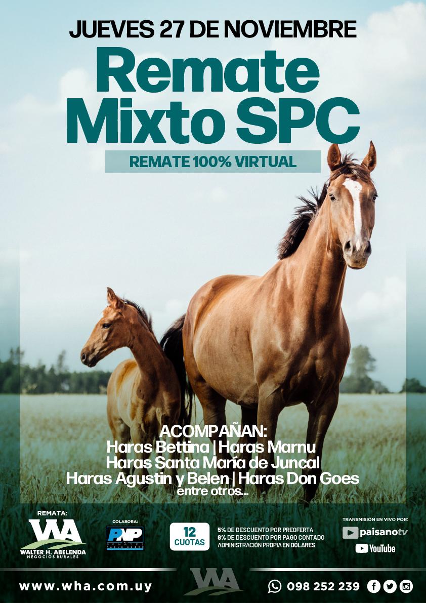 Remate Mixto SPC