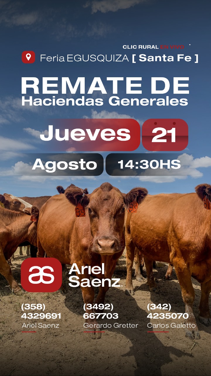 Remate 21 de Agosto - Egusquiza
