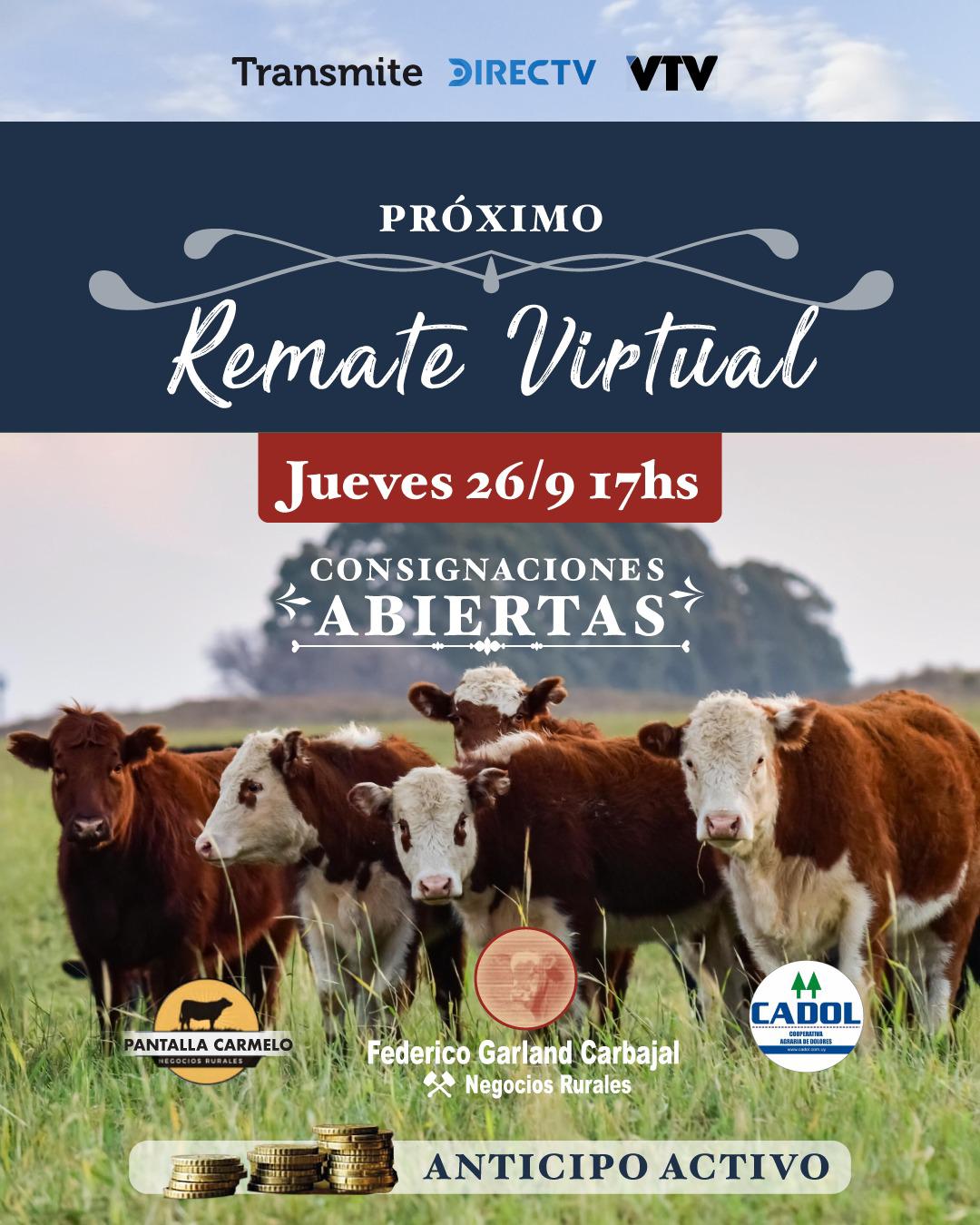 Afiche #49 Pantalla Carmelo