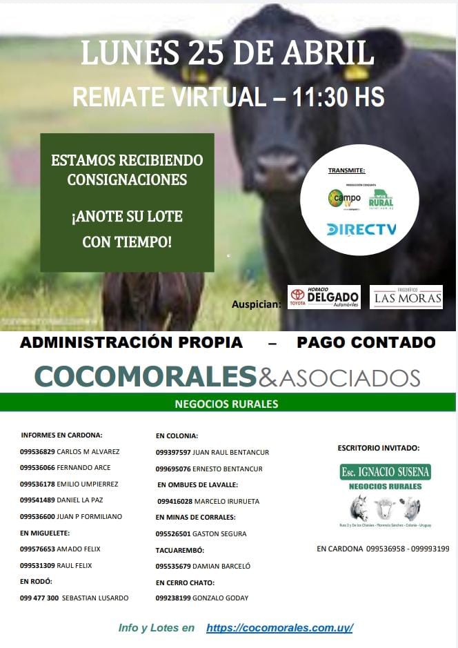Afiche Remate Virtual - Coco Morales & Asoc.