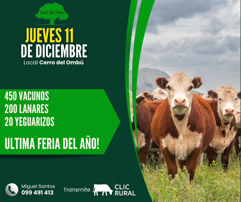 Remate Feria Mensual - Cerro del Ombu