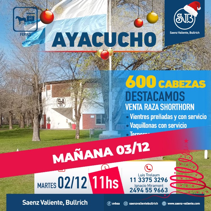 Feria en Ayacucho