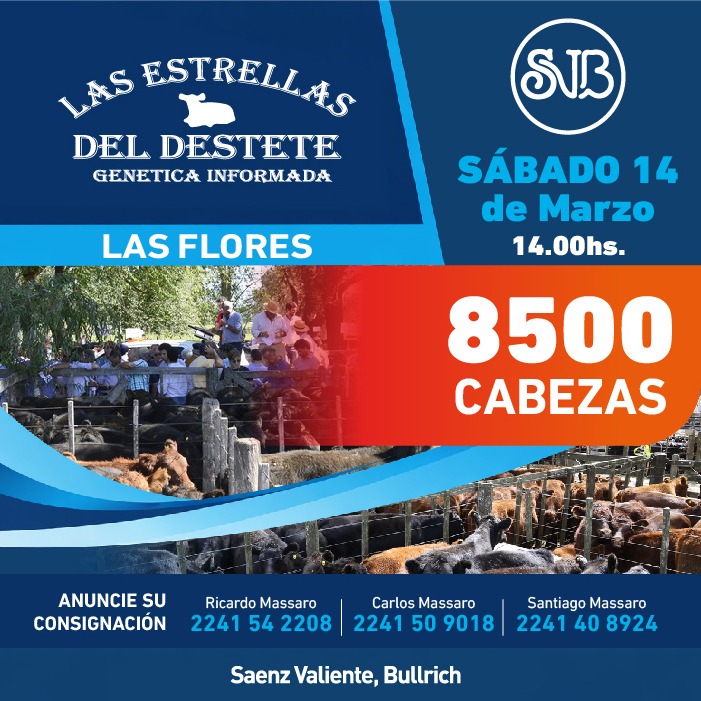 Las Estrellas del Destete