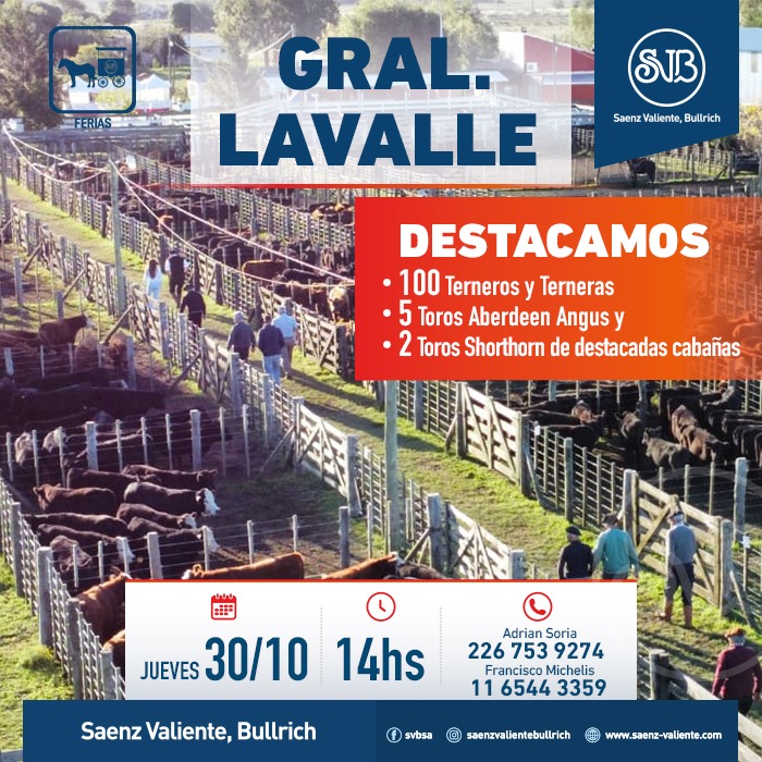 Feria en Gral. Lavalle
