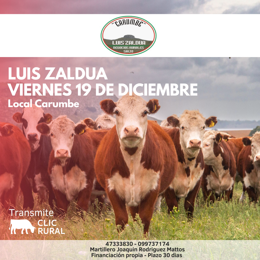 Remate Feria Mensual - Luis Zaldua