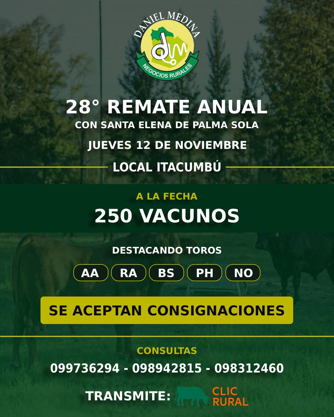 Afiche 28º Remate Anual con Santa Elena de Palma Sola