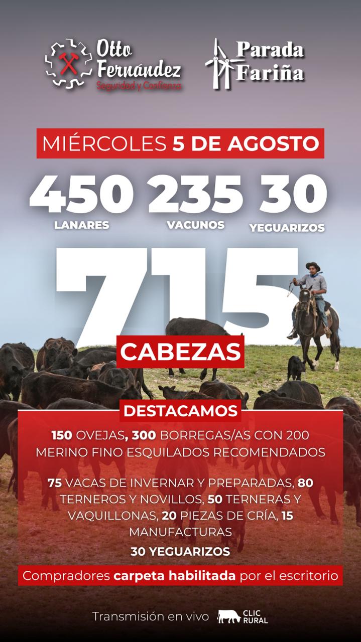 Feria mensual - Otto Fernandez