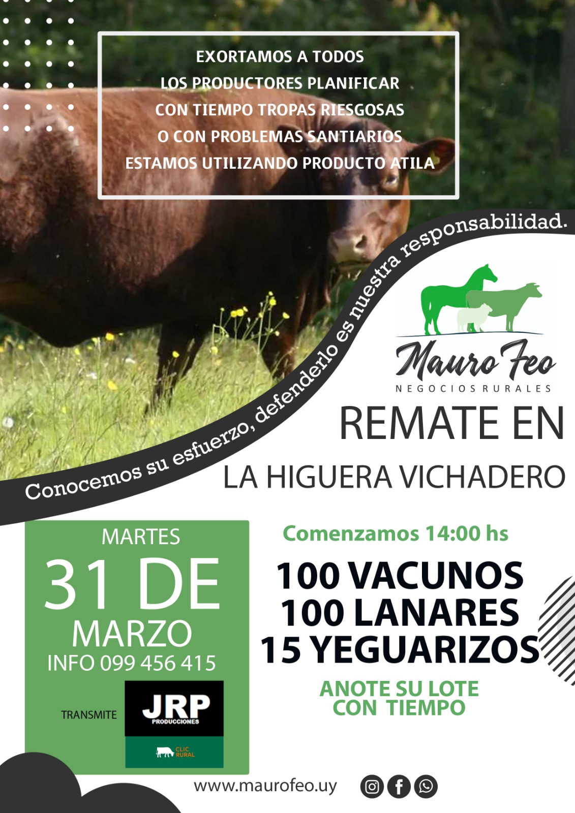 Remate Feria Mensual - Mauro Feo