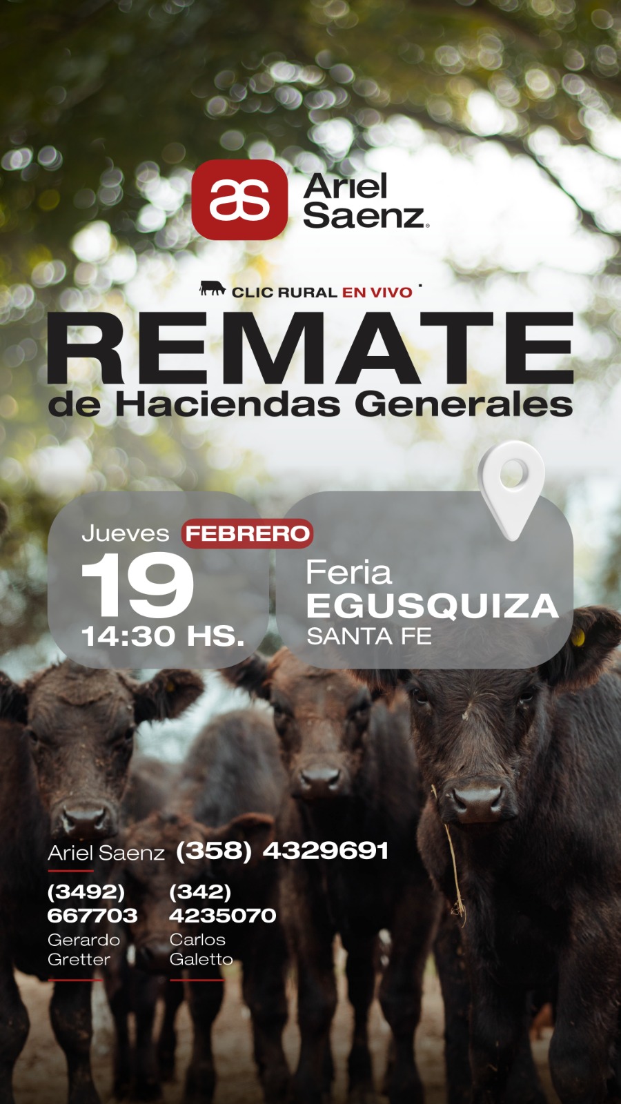 Remate 19 de Febrero - Egusquiza