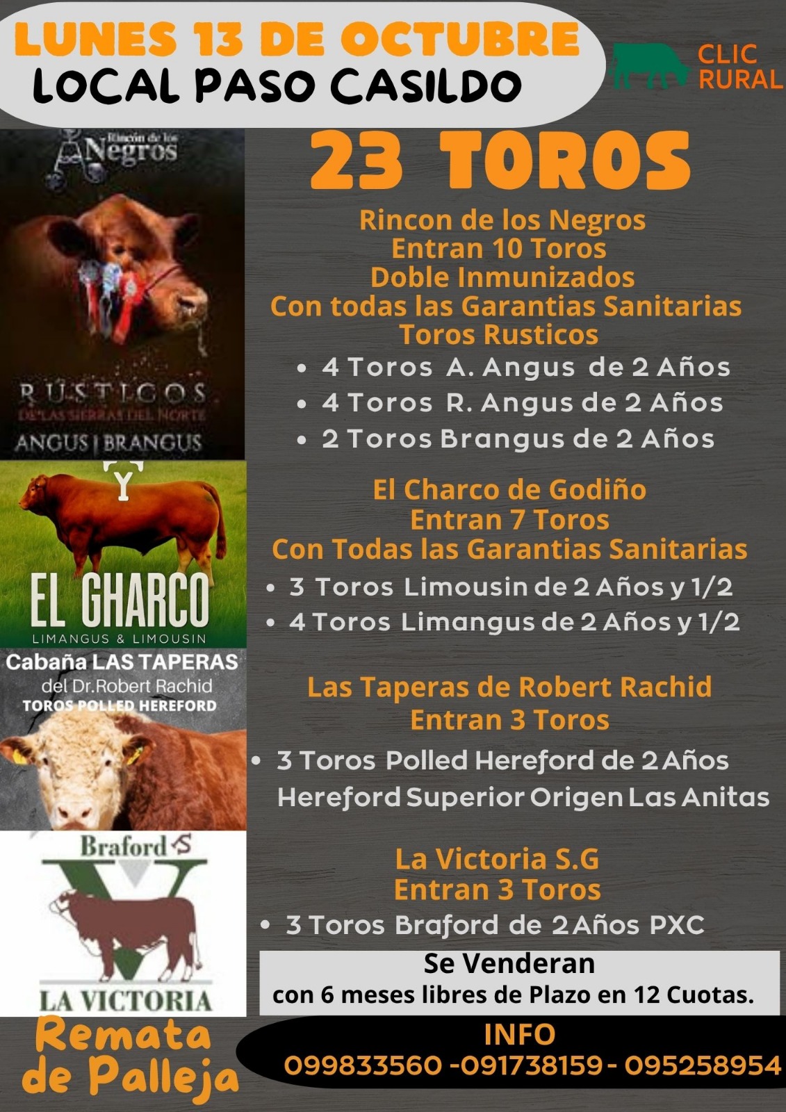 Afiche Feria Mensual - Federico de Palleja