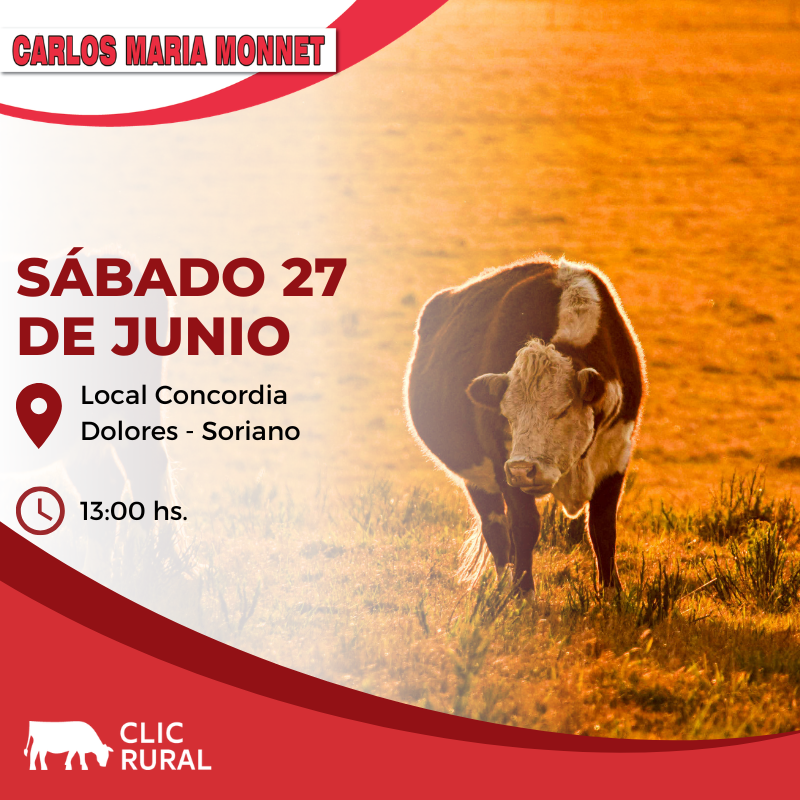 Remate Feria Mensual - Concordia