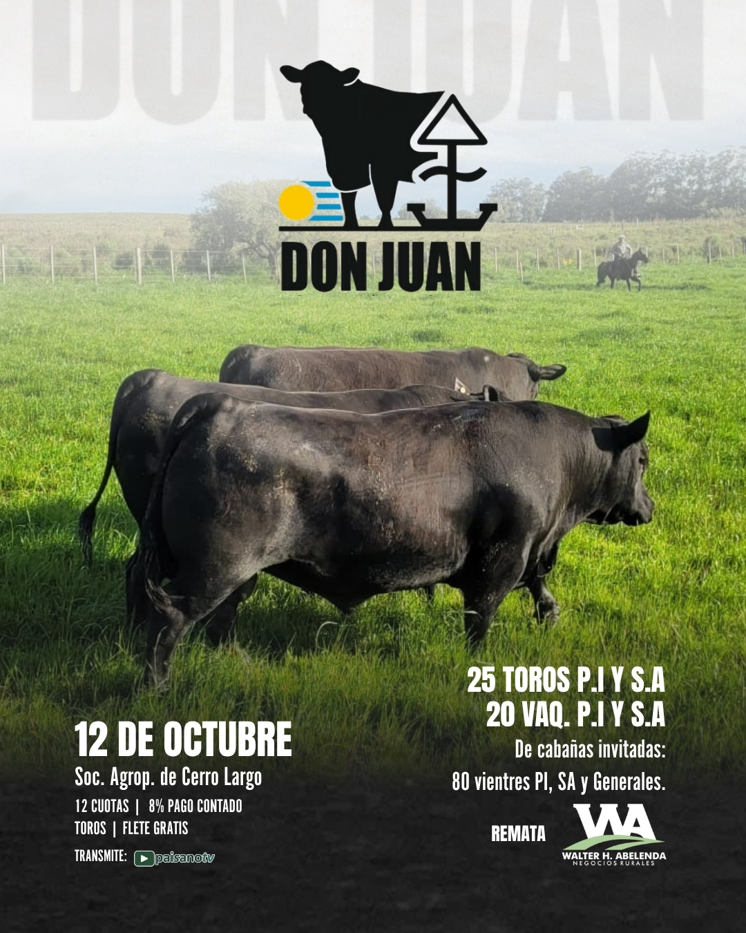 Cabaña Don Juan