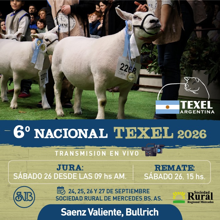 6° Nacional de Téxel